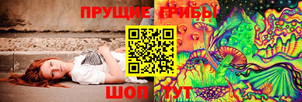 Галлюциногенные грибы прущие грибы  Вход с VPN  Отрадный  Галлюциногенные грибы Psilocybine cubensis 