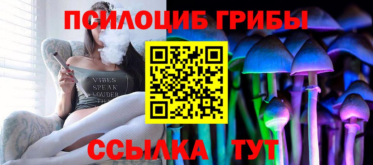 Псилоцибиновые грибы GOLDEN TEACHER Отрадный